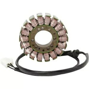 Rick's Motorsport Electrics ステーター - - 21-011 Rick's Motorsport Electrics Stator - - 21-011 【並行輸入品】 54,780円