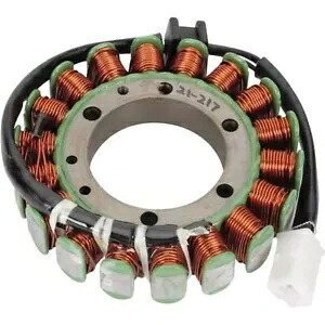 Rick's Motorsport Electrics ステーター - - 21-304 Rick's Motorsport Electrics Stator - - 21-304 【並行輸入品】