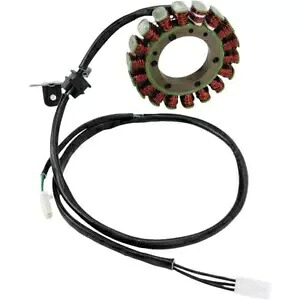 Rick's Motorsport Electrics ステーター - - 21-323 Rick's Motorsport Electrics Stator - - 21-323 【並行輸入品】