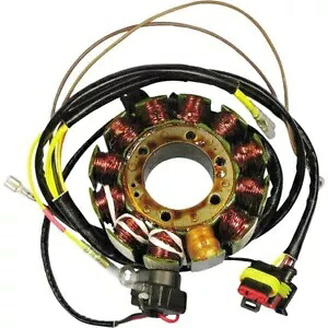 Rick's Motorsport Electrics ステーター - - 21-561 Rick's Motorsport Electrics Stator - - 21-561 【並行輸入品】