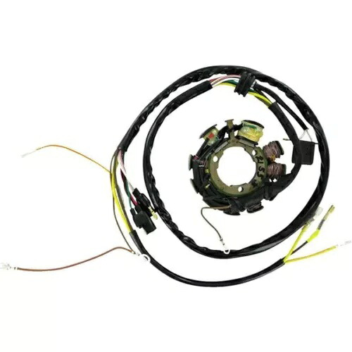 Rick's Motorsport Electrics ステーター - - 21-553 Rick's Motorsport Electrics Stator - - 21-553 【並行輸入品】