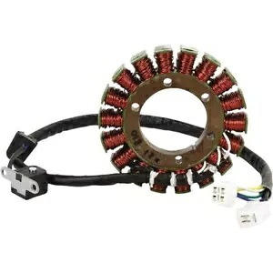 Rick's Motorsport Electrics ステーター - - 21-810 Rick's Motorsport Electrics Stator - - 21-810 【並行輸入品】