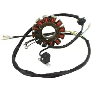 Rick's Motorsport Electrics ステーター - - 21-562 Rick's Motorsport Electrics Stator - - 21-562 【並行輸入品】 59,895円