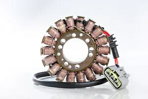 リックのモータースポーツ ステーター 21-410 Rick's Motorsport Stator 21-410 【並行輸入品】