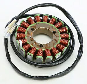 リックのモータースポーツ ステーター 21-303 Rick's Motorsport Stator 21-303 【並行輸入品】
