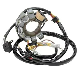 Ricks Motorsport 電動ステーター ポラリス 400 ビッグボス スポーツマン エクスプローラー Ricks Motorsport Electric Stator Polaris 400 Big Boss Sportsman Xplorer 【並行輸入品】