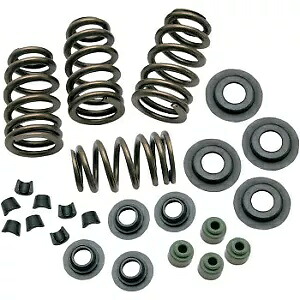 バルブ スプリング 0.650" ツインカム用 0926-2069 S&S Cycle Valve Springs .650" for Twin Cam 0926-2069 S&S Cycle 【並行輸入品】|カスタムパーツ WORLD倉庫