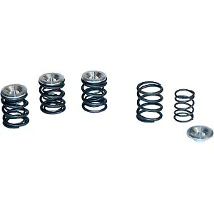 ビッグツイン用バルブスプリングキット DS-199729 S&S Cycle Valve Spring Kit for Big Twin DS-199729 S&S Cycle 【並行輸入品】