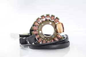 リックのモータースポーツ ステーター 21-916 Rick's Motorsport Stator 21-916 【並行輸入品】