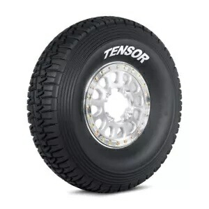 デザート シリーズ (DSR) タイヤ - 30x9.5-14 (60 デュロメーター トレッド コンパウンド) TT309514DSR60 Desert Series (DSR) Tire - 30x9.5-14 (60 Durometer Tread Compond) TT309514DSR60 【並行輸入品】