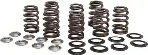 バルブ スプリング キット Beehive 0.465 リフト チタン キブルホワイト 20-21000 Valve Spring Kit Beehive 0.465 Lift Titanium Kibblewhite 20-21000 【並行輸入品】 66,550円