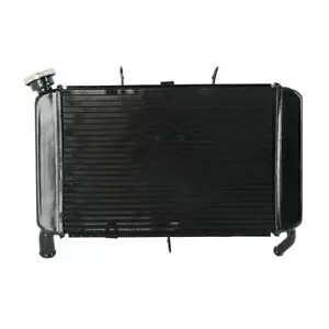 アフターマーケットラジエーター水クーラー冷却ヤマハ XJ6 XJ6S XJ6N XJ6F 2009-16 Aftermarket Radiator Water Cooler Cooling for Yamaha XJ6 XJ6S XJ6N XJ6F 2009-16 【並行輸入品】 58,740円
