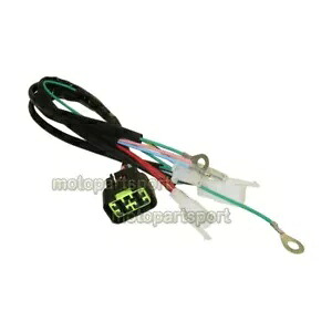 Lifan 150cc デジタル配線織機ハーネス ピットダートバイク用 Lifan 150cc Digital Wiring Loom Harness For Pit Dirt Bikes 【並行輸入品】