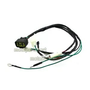 ZONGSHEN デジタル配線織機ハーネス 125ho 140cc Z155 155cc ピットダートバイク用 ZONGSHEN DIGITAL WIRING LOOM HARNESS 125ho 140cc Z155 155cc for PIT DIRT BIKE 【並行輸入品】