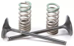 Pro X スチール バルブおよびスプリング キット インテーク 28.SIS1340-2 Pro X Steel Valves and Spring Kits Intake 28.SIS1340-2 【並行輸入品】