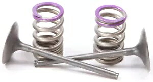 Pro X スチール バルブおよびスプリング キット インテーク 28.SIS4336-2 Pro X Steel Valves and Spring Kits Intake 28.SIS4336-2 【並行輸入品】