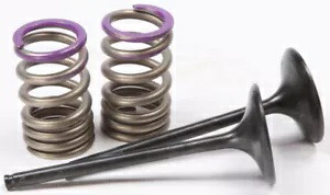 Pro X スチール バルブおよびスプリング キット インテーク 28.SIS4338-2 Pro X Steel Valves and Spring Kits Intake 28.SIS4338-2 【並行輸入品】