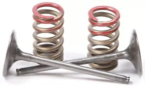 Pro X スチール バルブおよびスプリング キット インテーク 28.SIS4335-2 Pro X Steel Valves and Spring Kits Intake 28.SIS4335-2 【並行輸入品】