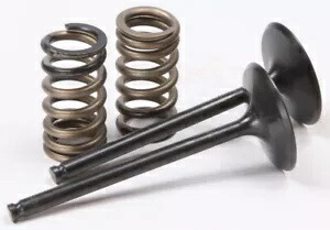 Pro X スチール バルブおよびスプリング キット インテーク 28.SIS6353-2 Pro X Steel Valves and Spring Kits Intake 28.SIS6353-2 【並行輸入品】