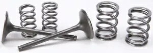 Pro X スチール バルブおよびスプリング キット インテーク 28.SIS4406-2 Pro X Steel Valves and Spring Kits Intake 28.SIS4406-2 【並行輸入品】