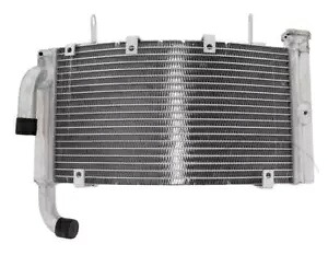 ラジエーター JPM ドゥカティ 749 ビポスト 749 ダーク 999 ビポスト 03-07 Radiator Jpm Ducati 749 Biposto 749 Dark 999 Biposto 03-07 【並行輸入品】|カスタムパーツ WORLD倉庫