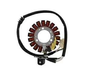 オルタネーター ステーター ツアーマックス ヤマハ XP 500 TMax 04-07- Alternator Stator Tourmax Yamaha XP 500 TMax 04-07- 【並行輸入品】
