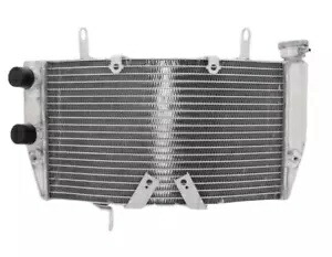 ラジエーター JPM ドゥカティ 1098 ビポスト 1198 R 848 エボ ダーク 07-13 Radiator Jpm Ducati 1098 Biposto 1198 R 848 Evo Dark 07-13 【並行輸入品】