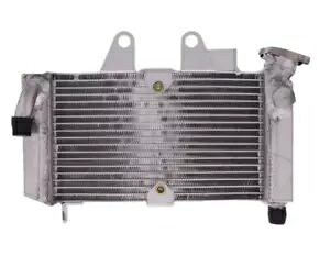 ラジエーター JMP ホンダ XL 125 V バラデロ 01-06 Radiator JMP Honda XL 125 V Varadero 01-06 【並行輸入品】