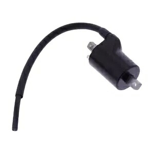 点火コイル OE ベータ Xtrainer 250 2T オイルミックス 300 2T Ignition Coil OE Beta Xtrainer 250 2T Oilmix 300 2T 【並行輸入品】