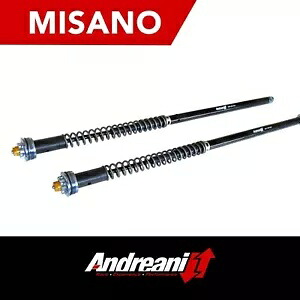 ANDREANI MISANO フォーク ADJ カートリッジキット、ホンダ CBR 650 F 2014 に適合 ANDREANI MISANO FORK ADJ CARTRIDGE KIT COMPATIBLE FOR HONDA CBR 650 F 2014 【並行輸入品】