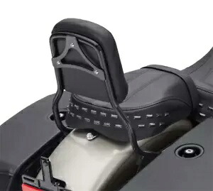 パッセンジャー シシーバー アップライト ブラック 2018-2020 ハーレー ソフテイル スリム ストリート ボブ デ用 Passenger SissyBar Upright Black For 2018-2020 Harley Softail Slim Street Bob De 【並行輸入品】