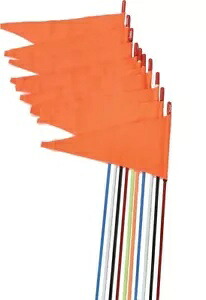 Firestik 安全フラグ スプリング マウント ネオン グリーン 7' 10/パック _SR7-PS-NG Firestik safety flags spring mount neon green 7' 10/pack _SR7-PS-NG 【並行輸入品】