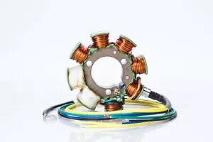 Rick's Motorsport 21-617H ステーター Rick's Motorsport 21-617H Stator 【並行輸入品】