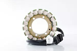 Rick's Motorsport 21-146 ステーター Rick's Motorsport 21-146 Stator 【並行輸入品】