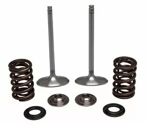 KPMI 191-41008 SS インテークバルブ/スプリングキット適合車種: CRF450R、CRF450RX、CRF450RWE KPMI 191-41008 SS Intake Valve/Spring Kit FITS: CRF450R, CRF450RX, CRF450RWE 【並行輸入品】