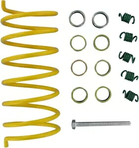 EPI スポーツ ユーティリティ クラッチ キット WE495025 EPI Sport Utility Clutch Kits WE495025 【並行輸入品】