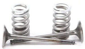 Pro X スチール バルブおよびスプリング キット 排気 28.SES3338-1 Pro X Steel Valves and Spring Kits Exhaust 28.SES3338-1 【並行輸入品】