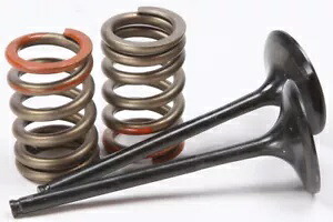 Pro X スチール バルブおよびスプリング キット インテーク 28.SIS4341-2 Pro X Steel Valves and Spring Kits Intake 28.SIS4341-2 【並行輸入品】