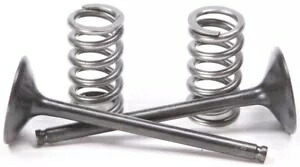Pro X スチール バルブおよびスプリング キット 排気 28.SES2444-1 Pro X Steel Valves and Spring Kits Exhaust 28.SES2444-1 【並行輸入品】