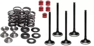 ヤマハ グリズリー 660 キブルホワイト 吸気および排気バルブ スプリング シール Yamaha Grizzly 660 Kibblewhite Intake & Exhaust Valves Springs Seals 【並行輸入品】