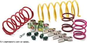 EPI スポーツユーティリティクラッチキット WE437217 EPI WE437217 Sport Utility Clutch Kit 【並行輸入品】