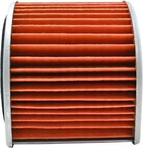 エムゴ エアフィルター 12-43940 Emgo Air Filter 12-43940 【並行輸入品】 32,890円
