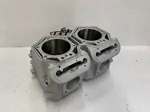 スキードゥー MXZ、サミット、レネゲード P-TEK 800R ETEC SPI シリンダー 新品 2008-2017 SKI DOO MXZ, SUMMIT, RENEGADE P-TEK 800R ETEC SPI CYLINDER NEW 2008-2017 【並行輸入品】