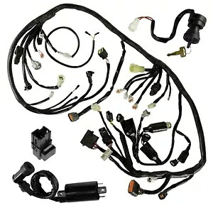 配線ハーネススイッチキーコイルスターターリレーヤマハラプター 700 YFM700R 2006 Wiring Harness Switch Key Coil Starter Relay for Yamaha Raptor 700 YFM700R 2006 【並行輸入品】