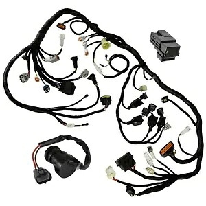 配線ハーネススイッチキーリレー ヤマハ ラプター 700 YFM700 2015 2016 2017-2023用 Wiring Harness Switch Key Relay for Yamaha Raptor 700 YFM700 2015 2016 2017-2023 【並行輸入品】 48,180円