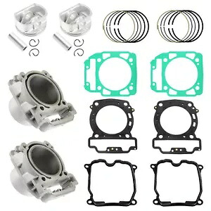 2シリンダーピストンリングはCan-am Maverick Trail 800 2018 2019 2020 2021に適合します。 2 Cylinder Piston Ring fits Can-am Maverick Trail 800 2018 2019 2020 2021 【並行輸入品】