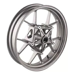 フロントホイールリム BMW S1000RR 2010 ? 2018 S1000R 2014 2015 2016-2018 グレー Front Wheel Rim Fit For BMW S1000RR 2010~2018 S1000R 2014 2015 2016-2018 Gray 【並行輸入品】