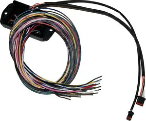 Namz NCBC-B01 Can-Bus コントローラー Namz NCBC-B01 Can-Bus Controller 【並行輸入品】