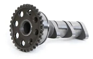 ホットカム カムシャフト ステージ 2 4288-2IN Hot Cams Camshaft Stage 2 4288-2IN 【並行輸入品】