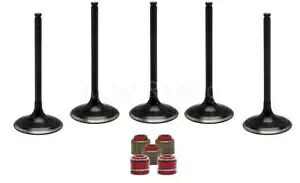 キブル ホワイト WR250F 吸気＆排気バルブ バルブセット ステムシール付き Kibble White WR250F Complete Intake & Exhaust Valve Valves Set w/ Stem Seals 【並行輸入品】